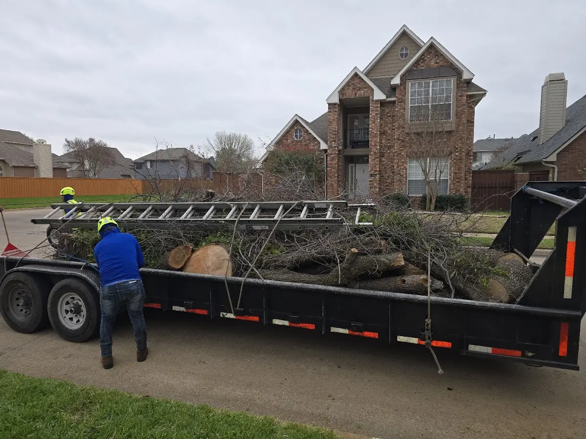 Expert Tree Fertilization with proper safety equipment in Lynd